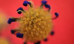 Toddler from Rajasthan succumbs to Chandipura Virus at Ahmedabad hospital