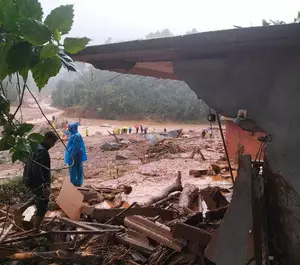 Wayanad disaster: Kerala HC wants holistic approach in development, appoints amicus curiae