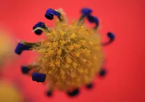 Toddler from Rajasthan succumbs to Chandipura Virus at Ahmedabad hospital