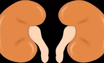 Sodium-potassium level imbalance can pose adverse health risks in kidneys, experts say