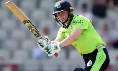 We want to play the style that we know we can play, says Ireland skipper Delany