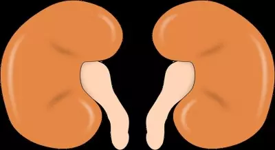 Sodium-potassium level imbalance can pose adverse health risks in kidneys, experts say