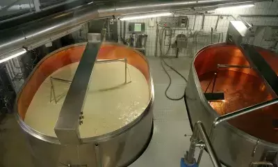 Innovative startups driving India’s food processing industry