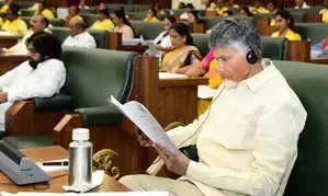 Andhra Pradesh Cabinet set to go paperless under tech-savvy Naidu