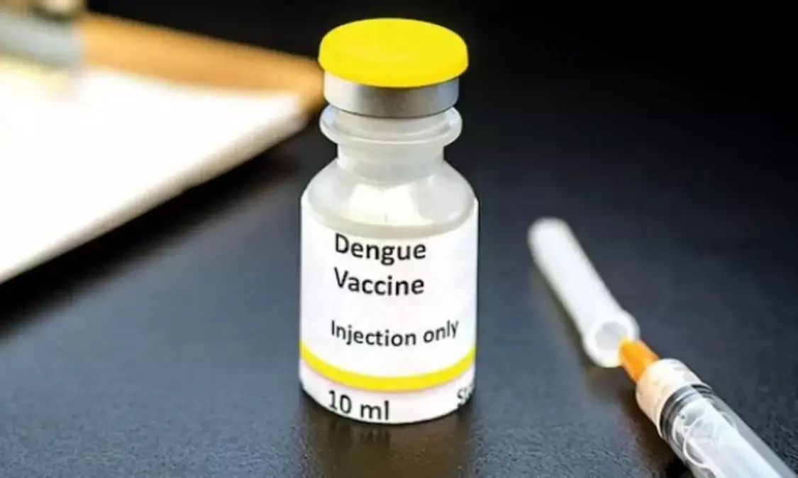 India Launches First-Ever Phase 3 Clinical Trial for Indigenous Dengue Vaccine