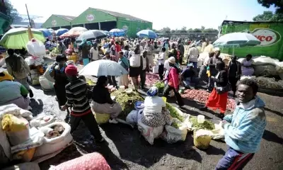 African scholars call for shift to realise green revolution