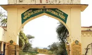 Tiger escapes from Sariska reserve, attacks five in Rajasthan