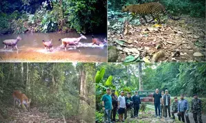 57 casual staff of Arunachal tiger reserve reinstated after 106 days