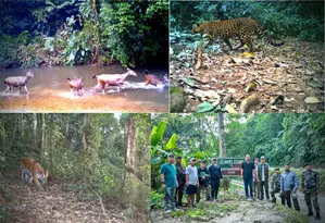 57 casual staff of Arunachal tiger reserve reinstated after 106 days