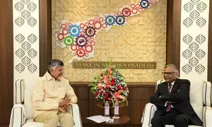 Andhra to constitute special task force on industrial development