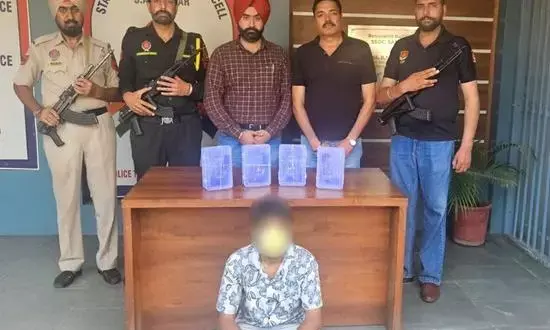 Punjab Police Busts Interstate Arms Smuggling Racket, One Held with 4 Pistols