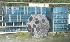 South Korea to enhance mpox surveillance following WHO emergency alert