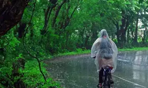 Orange alert issued in three Kerala districts as southwest monsoon intensifies