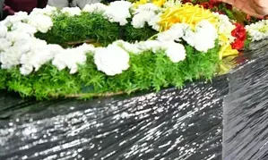 Indian mission advises use of eCARe facility for transporting mortal remains