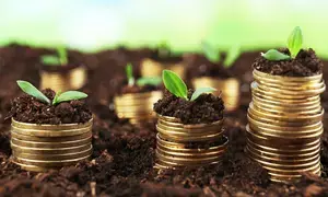 India a bright spot, to remain fastest-growing major economy this year: Report