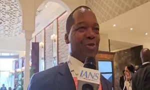 India, Africa have trade opportunities across sectors: Ex-RBZ Guv