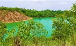 Coal India arm’s successful forestry drive rakes in carbon credits