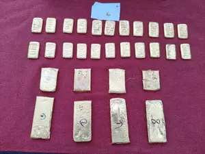 4 kg gold & 10 kg silver seized along Indo-B’desh border: BSF 4 kg gold & 10 kg silver seized along Indo-B’desh border: BSF