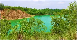 Coal India arm’s successful forestry drive rakes in carbon credits