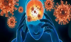 No new cases of Chandipura virus reported for six days: Guj Health Minister