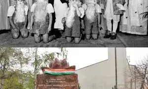 PM to reconnect with Indian Poles celebrating legacy of Maharajas of Jamnagar, Kolhapur