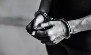 Turkey arrests 32 illegal migrants near Bulgarian border