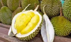 Vietnams official calls for positioning durian as national product