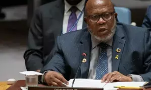 UNSC reform process has progressed, delivered framework for continuing work: UNGA President