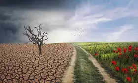 Finnish environmental groups take govt to court over climate change