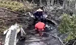 All 9, including 5 Chinese passengers feared dead in Thai plane crash