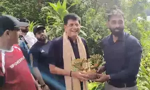 Desilt SGNP lakes to augment water supply for Mumbaikars, says Piyush Goyal