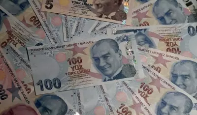 Turkish lira hits record low against USD