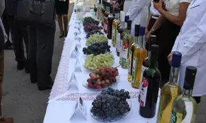 Uzbekistan hosts International Festival of Grapes and Winemaking to boost industry, tourism