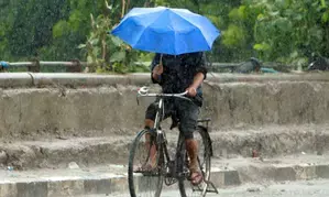 IMD forecasts widespread rain during next 7 days as monsoon stays on course