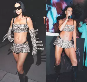 Katy Perry makes a bold statement with her dress