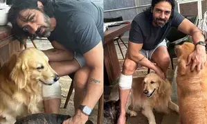 Arjun Rampal shares a glimpse of ‘love bite’ from pet dog