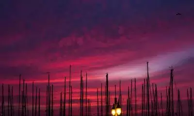 Israel launches nationwide industrial pollution monitoring platform