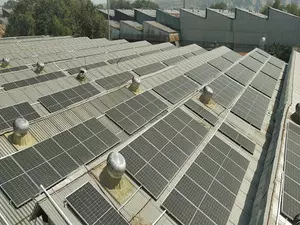 India adds record 15GW of solar power capacity in first 6 months of 2024