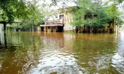 Five panchayats of Bihars Begusarai District cut off from mainland due to flooding