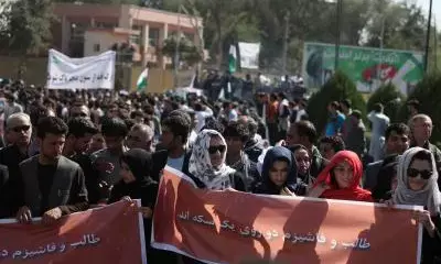 Appalled by Talibans new morality law: European Union