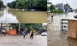 7 dead, 6,000 relocated as torrential rain pounds Gujarat (Ld)