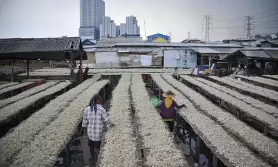 Indonesia expands free meals program beneficiaries to enhance human resource quality