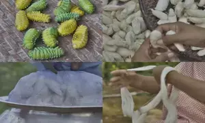 Centre approves 4 startups, new courses in technical textiles