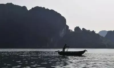 Pharmaceutical pollution in waterways dramatically changing fish behavior, reproduction: Study