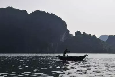 Pharmaceutical pollution in waterways dramatically changing fish behavior, reproduction: Study