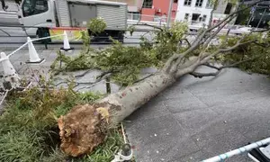 Four missing in Japan landslide