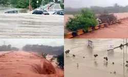 Vadodara flood: 5,000 evacuated as Vishwamitri River flows 12ft above danger mark