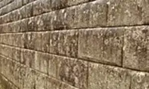 Over 40 injured after wall collapses in Patna