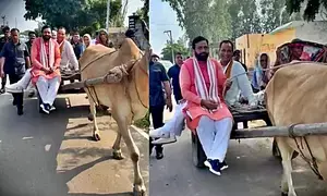 Haryana CM rides bullock cart to get connected at grassroot