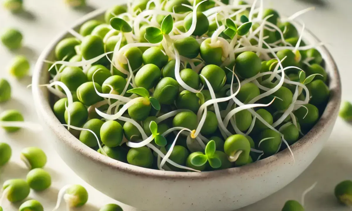 Boost Your Morning Routine: The Power of Sprouted Moong and Other Sprouts for Energy and Vitality